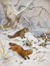 雪の中のウルヴァリン（紙にトイレ）